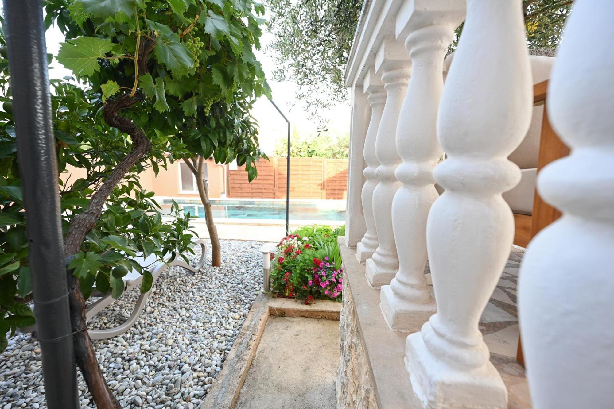 Brane With Swimming Pool Apartment